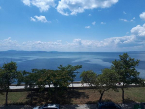 Самостоятелни стаи на брега на морето